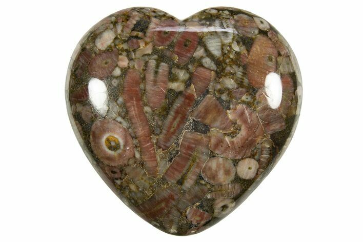 1.7" Colorful Fossil Crinoid Stems In Marble Hearts - Photo 1